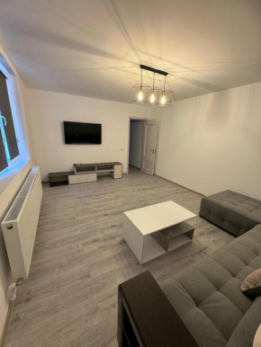 Apartament modern, totul nou, in centrul orasului